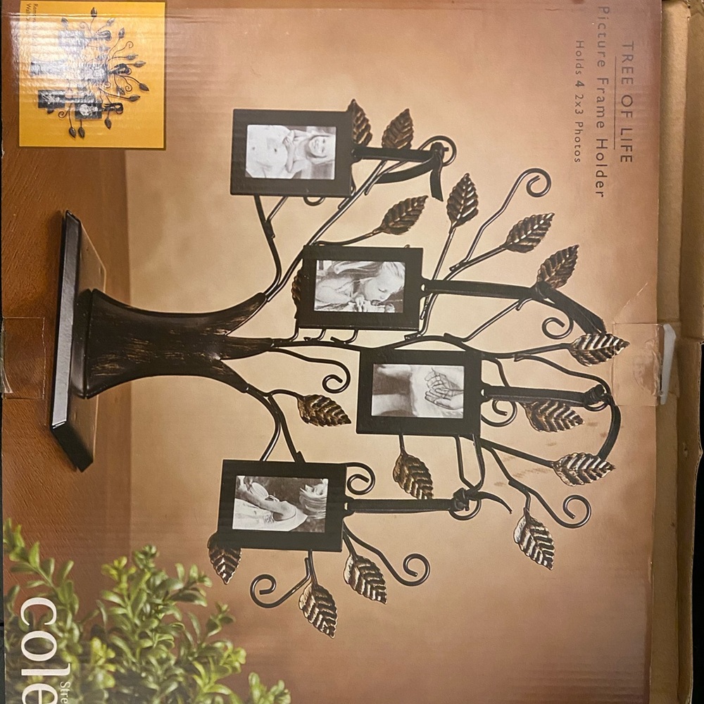 Tree picture frame